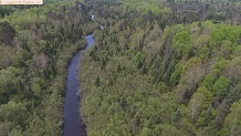 Trout stream in Michigan upper peninsual