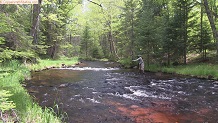 Trout stream in Michigan upper peninsual