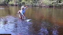 Trout stream in Michigan upper peninsual