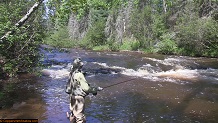 Trout stream in Michigan upper peninsual