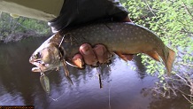 Trout stream in Michigan upper peninsual