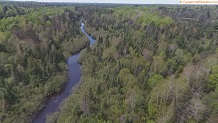 Trout stream in Michigan upper peninsual