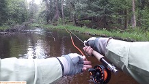 Trout stream in Michigan upper peninsual