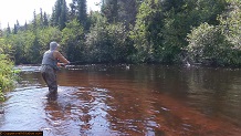 Trout stream in Michigan upper peninsual