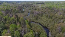 Trout stream in Michigan upper peninsual