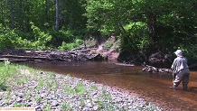 Trout stream in Michigan upper peninsual