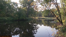 Trout stream in Michigan upper peninsual