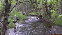 Trout stream in Michigan upper peninsual