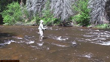 Trout stream in Michigan upper peninsual