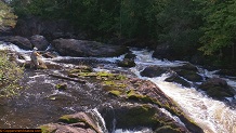 Trout stream in Michigan upper peninsual