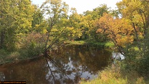 Trout stream in Michigan upper peninsual