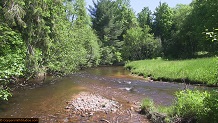 Trout stream in Michigan upper peninsual