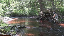 Trout stream in Michigan upper peninsual