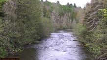 Trout stream in Michigan upper peninsual