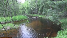 Trout stream in Michigan upper peninsual