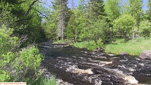 Trout stream in Michigan upper peninsual