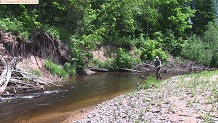 Trout stream in Michigan upper peninsual