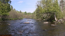 Trout stream in Michigan upper peninsual