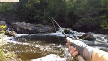 Trout stream in Michigan upper peninsual