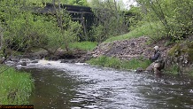 Trout stream in Michigan upper peninsual