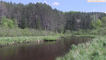 Trout stream in Michigan upper peninsual