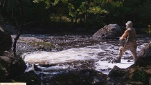 Trout stream in Michigan upper peninsual