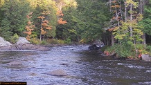 Trout stream in Michigan upper peninsual