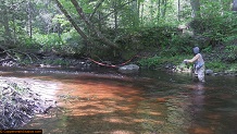 Trout stream in Michigan upper peninsual