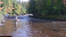 Trout stream in Michigan upper peninsual