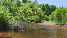 Trout stream in Michigan upper peninsual