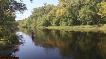 Trout stream in Michigan upper peninsual