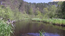 Trout stream in Michigan upper peninsual