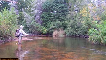 Trout stream in Michigan upper peninsual