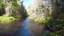 Trout stream in Michigan upper peninsual