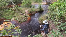 Trout stream in Michigan upper peninsual