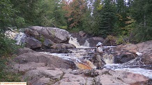 Trout stream in Michigan upper peninsual