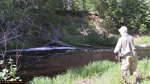 Trout stream in Michigan upper peninsual