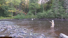 Trout stream in Michigan upper peninsual