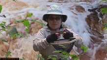 Trout stream in Michigan upper peninsual