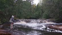 Trout stream in Michigan upper peninsual