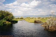 Upper Big Hole River, Montana