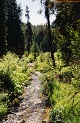 Steel Creek, Montana