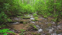 Trailer for DVD Smoky Mountains/NC West