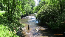 Fishing East Fork French Broad River