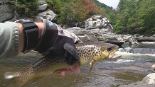 Fishing Linville Gorge, North Carolina