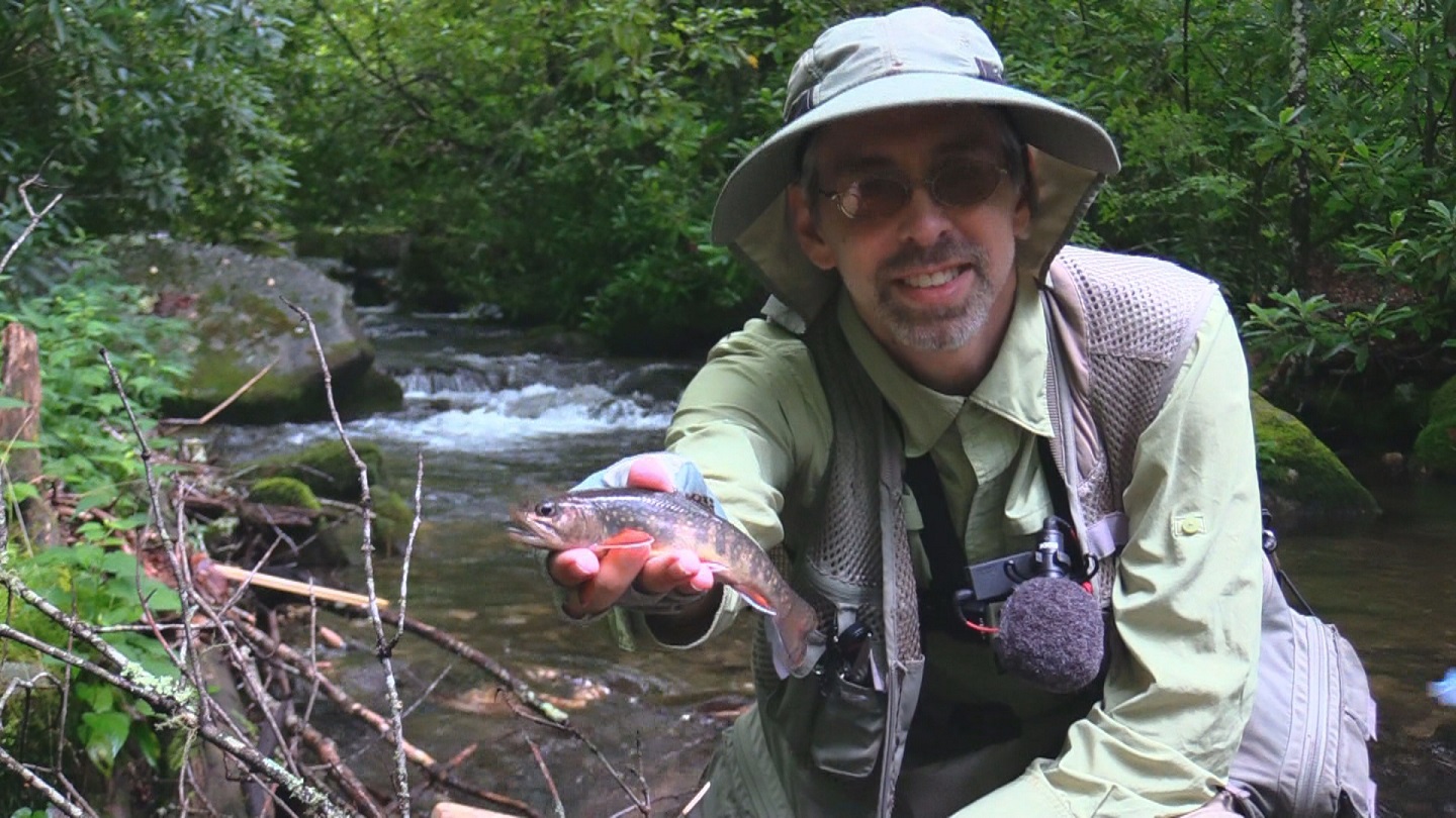 Trailer for DVD Trout Streams of NC West