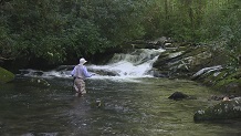 Fishing Noland Creek, Smokey Mountains