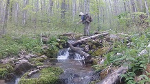 Fishing the Remove Raven Fork River, GSMNP