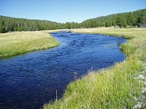 Nez Perce Creek, Yellowstone National Park