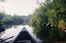 South channel Ogoki River